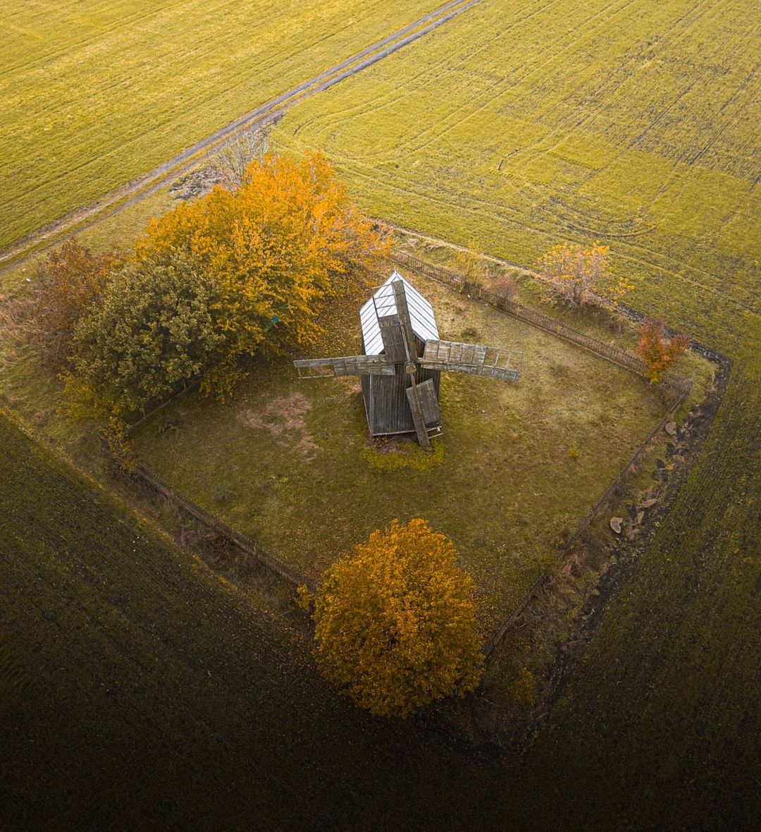 Деревянная мельница в селе Будеи. Фото: Anufriev Ivan