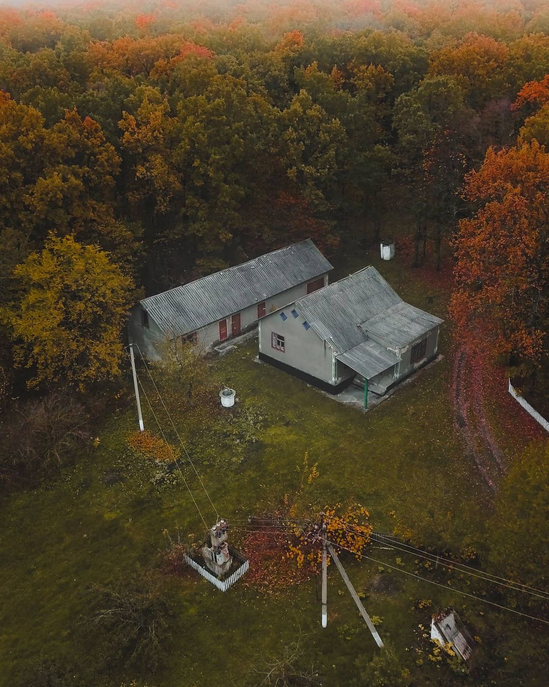 Савранский лес. Фото: Anufriev Ivan