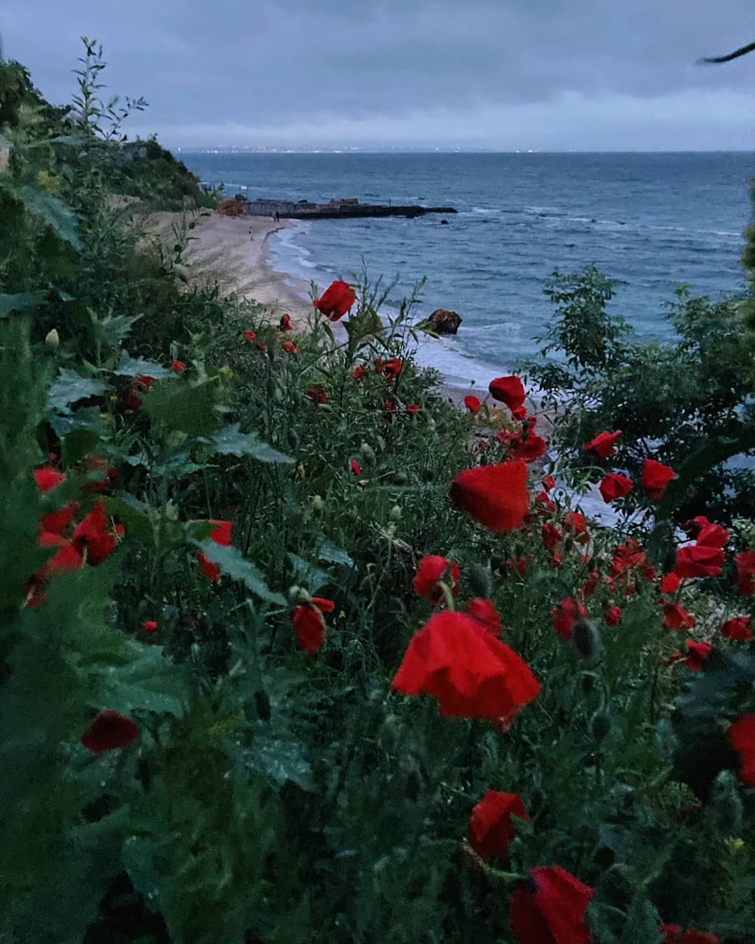 Лето 2021 года в Одессе началось с проливных дождей. Фото: Анжелика Янковская