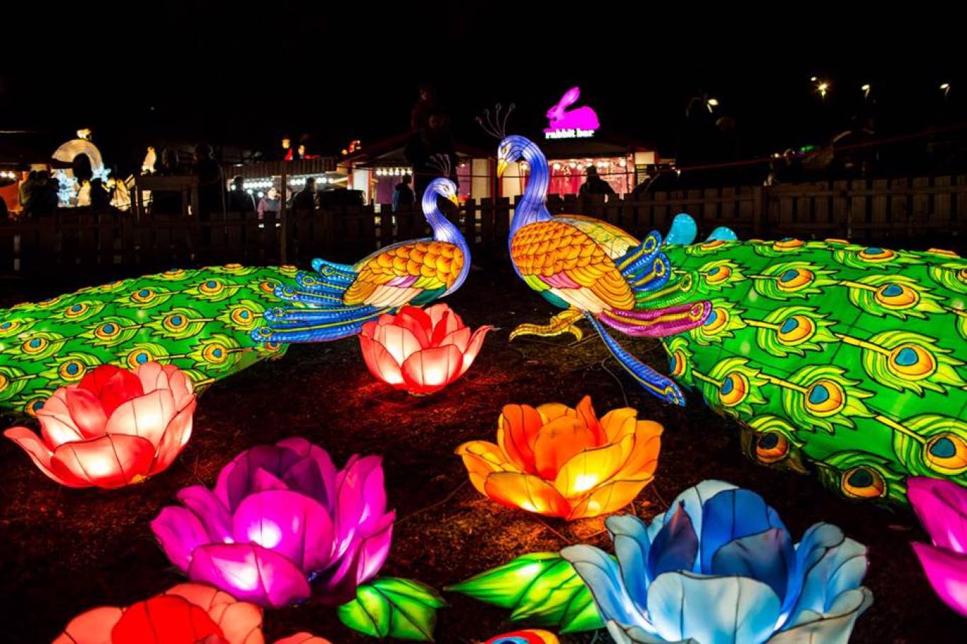 Фото: МоеMisto