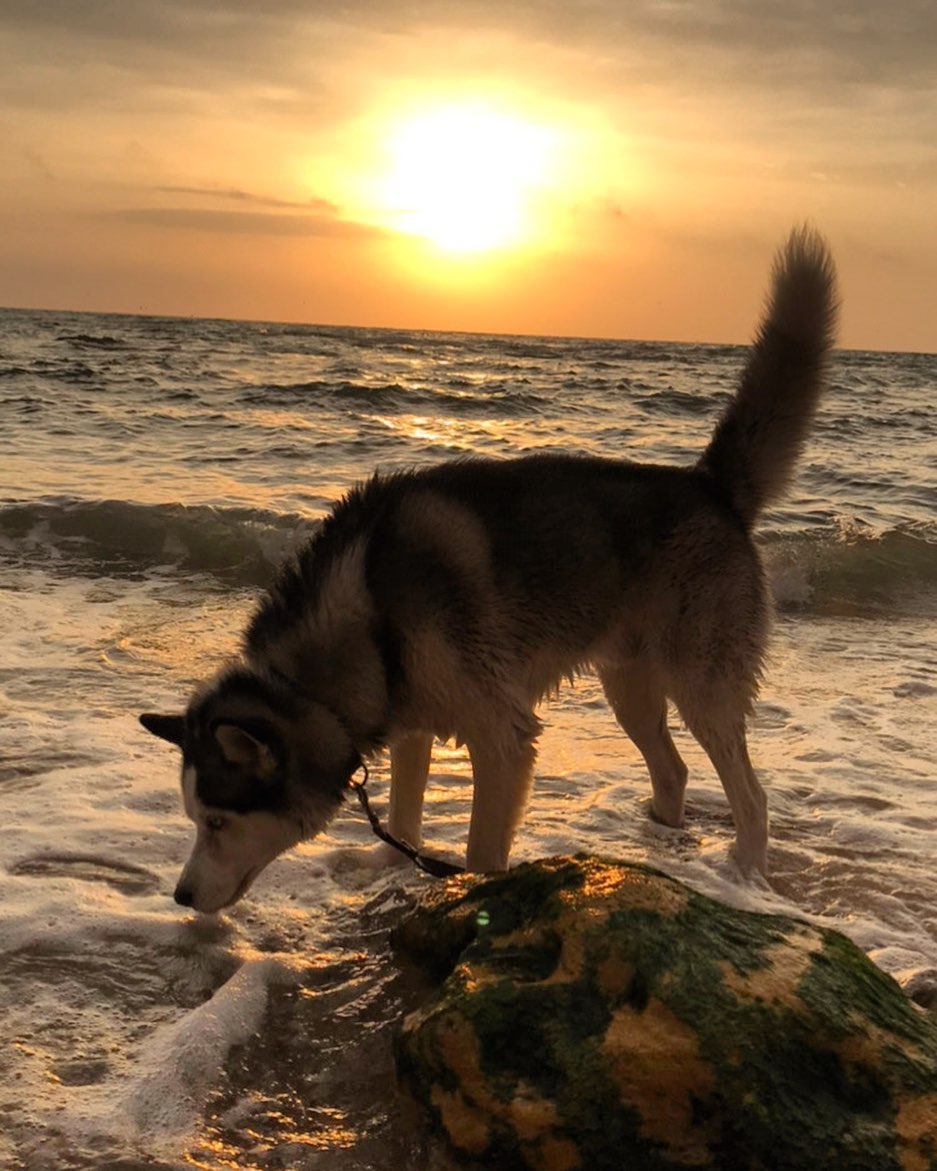 Осенние закаты и рассветы в Одессе. Фото: barny_vovkchonok