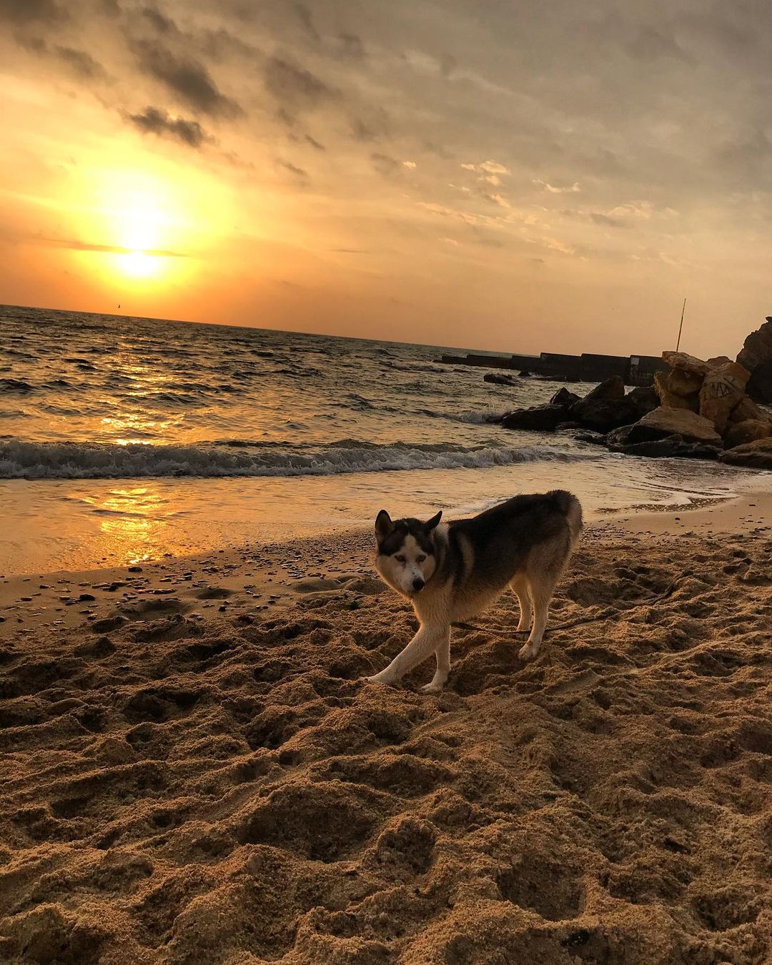 Осенние закаты и рассветы в Одессе. Фото: barny_vovkchonok