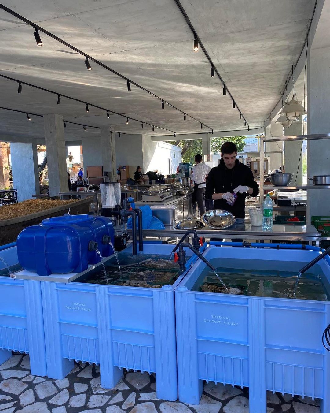 "Черноморка Аркадия". Фото: instagram.com/chernomorka.arcadia