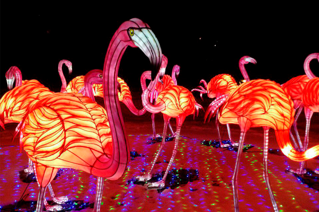 Фото: парк имени Савицкого