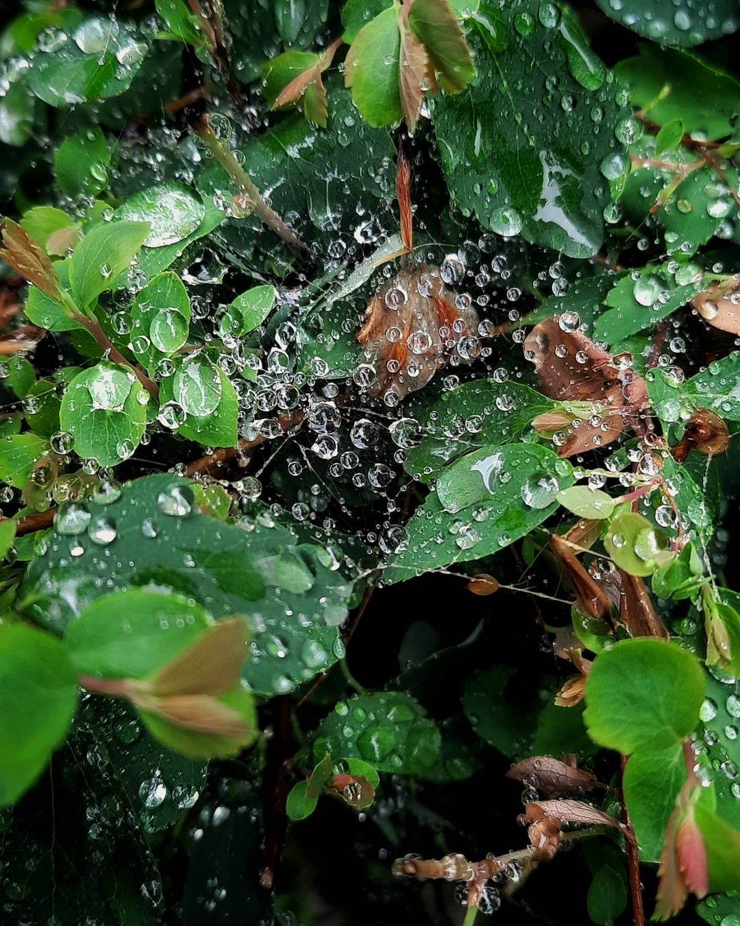 Лето 2021 года в Одессе началось с проливных дождей. Фото: instagram.com/helen.221b