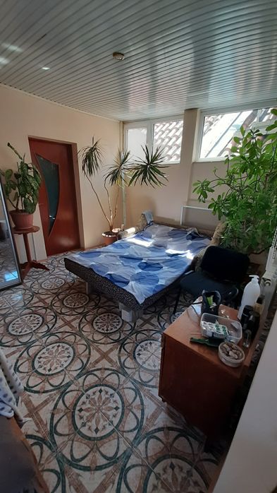 Зато сколько зелени в комнате!