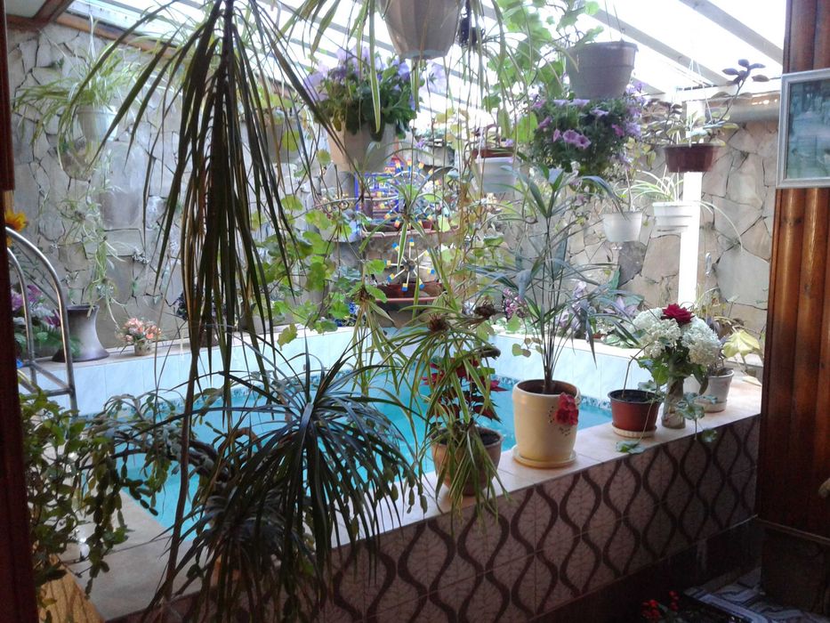 Бассейн "прячется" за домашним садом 