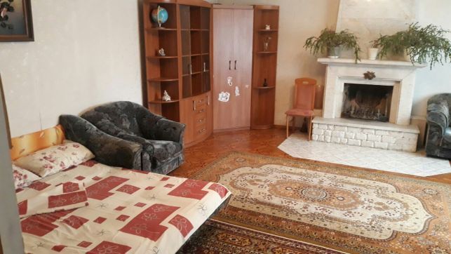 В номере кроме раскладного дивана и двух ковров есть камин