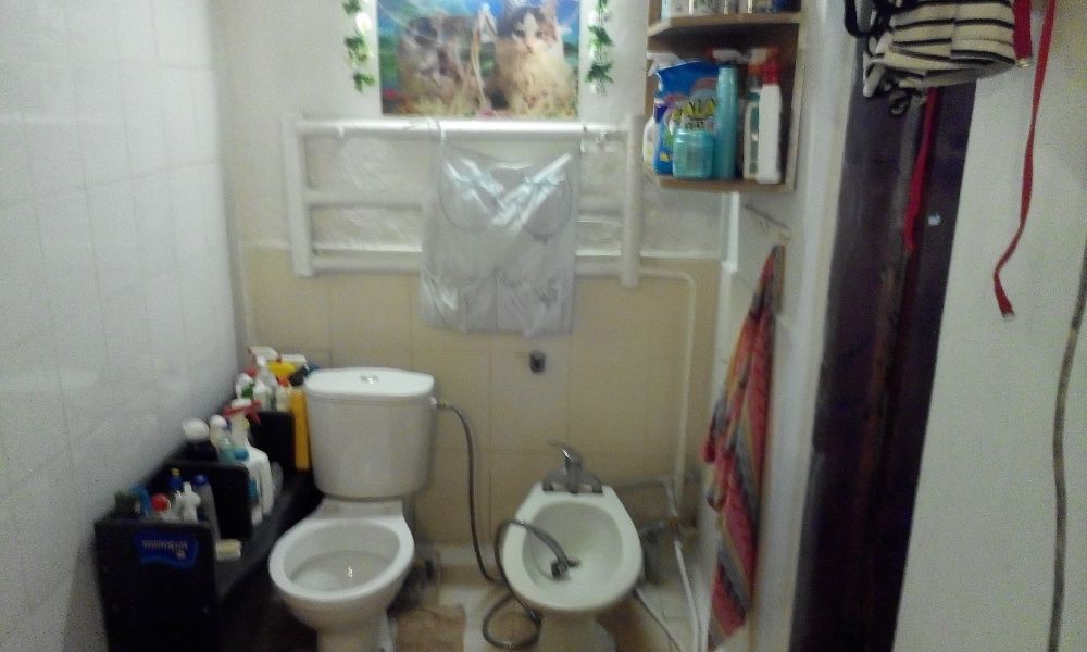 Плакат с кошечками традиционно украшает туалет в одесском доме