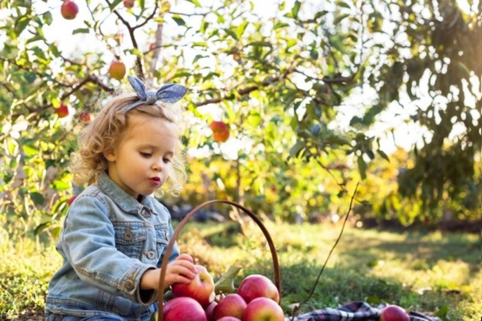 Яблочный уикенд