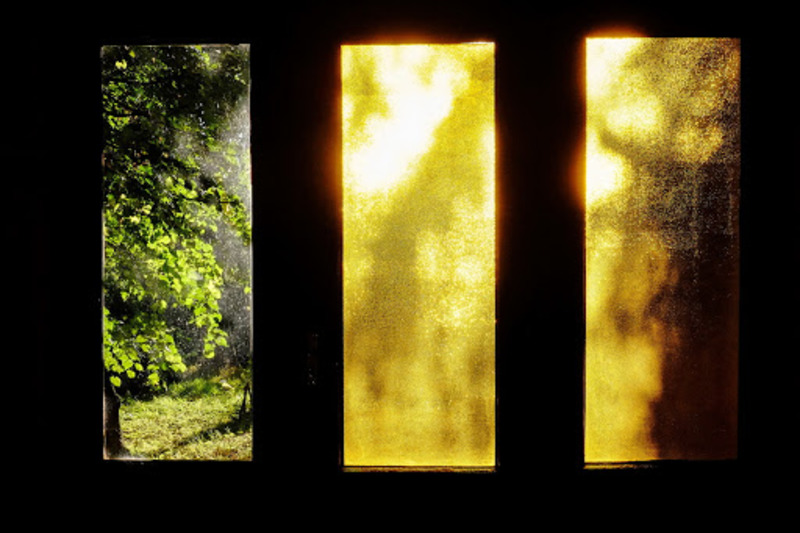 Работа фотографа Татьяны Редченковой