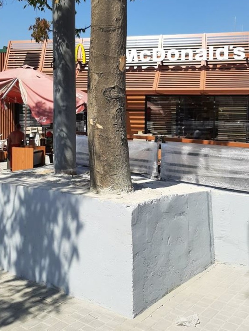 Закатали дерево в бетон: одесситы возмущены строительством "МакДональдса". Фото: Maksym Vasalatiy