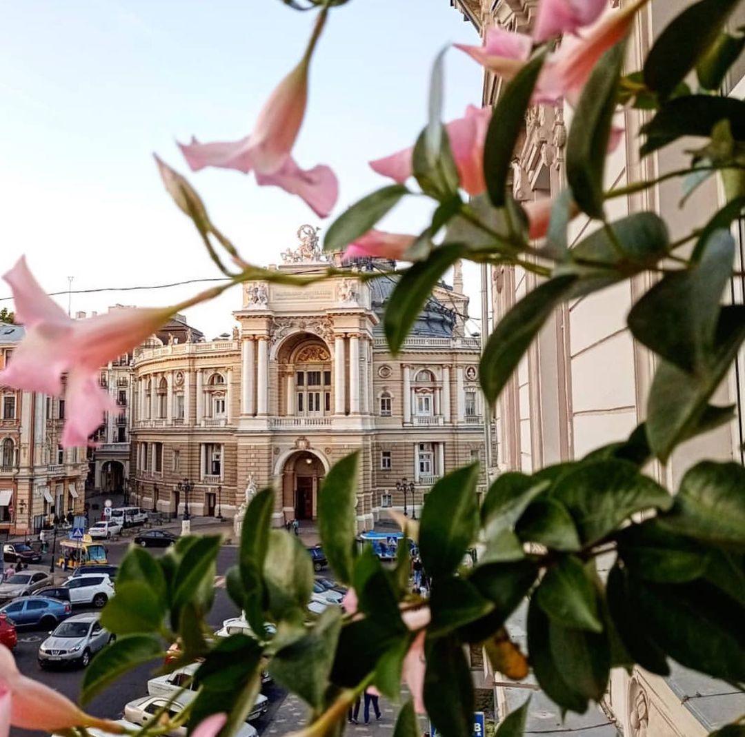 Полюбуйся долгожданной весной: в Одессе начали цвести деревья. Фото: instagram.com/nathalie.vlasenko