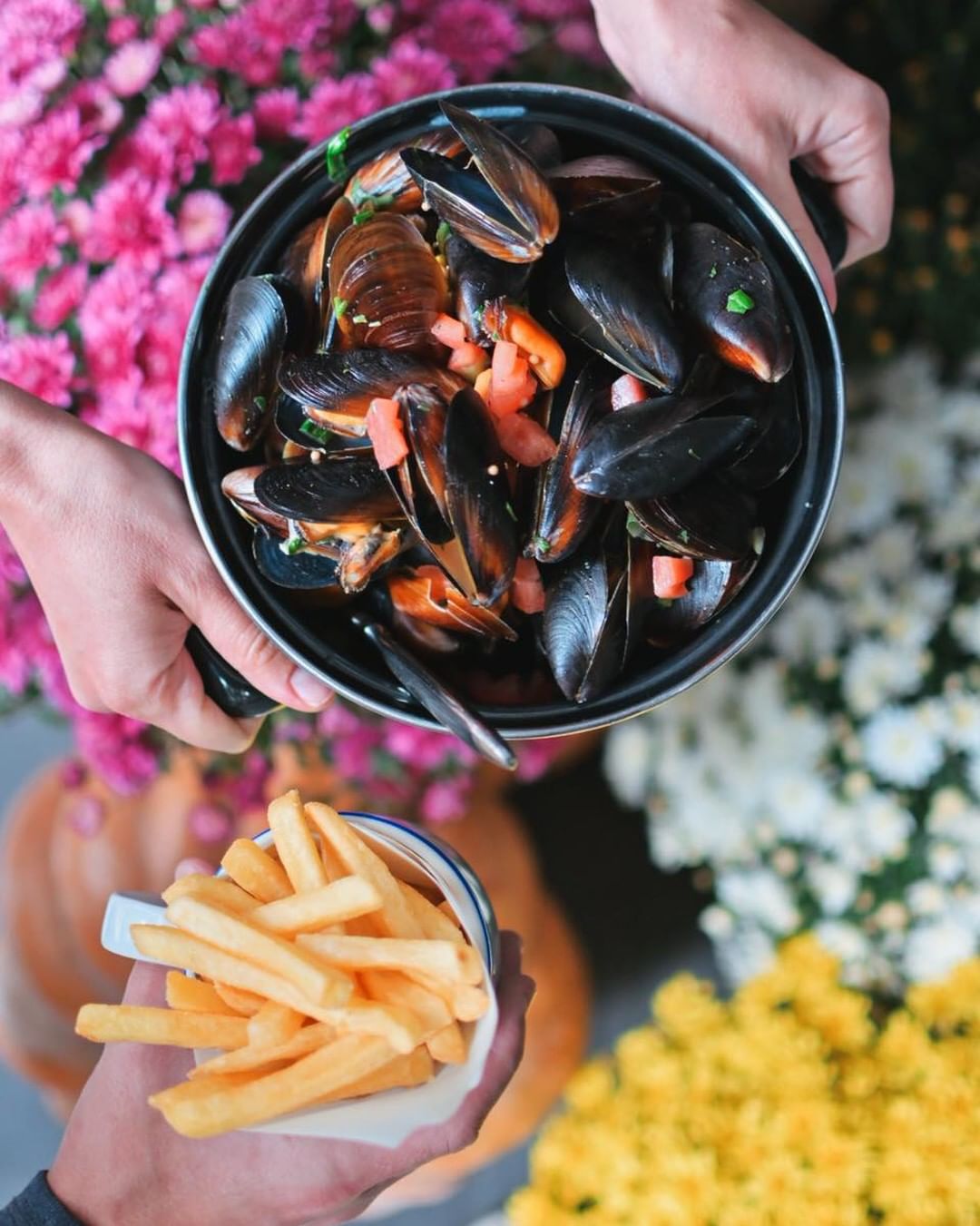 Возьми четвероногих друзей с собой: 10 pet-friendly заведений в Одессе. Бар мидий "Котелок"