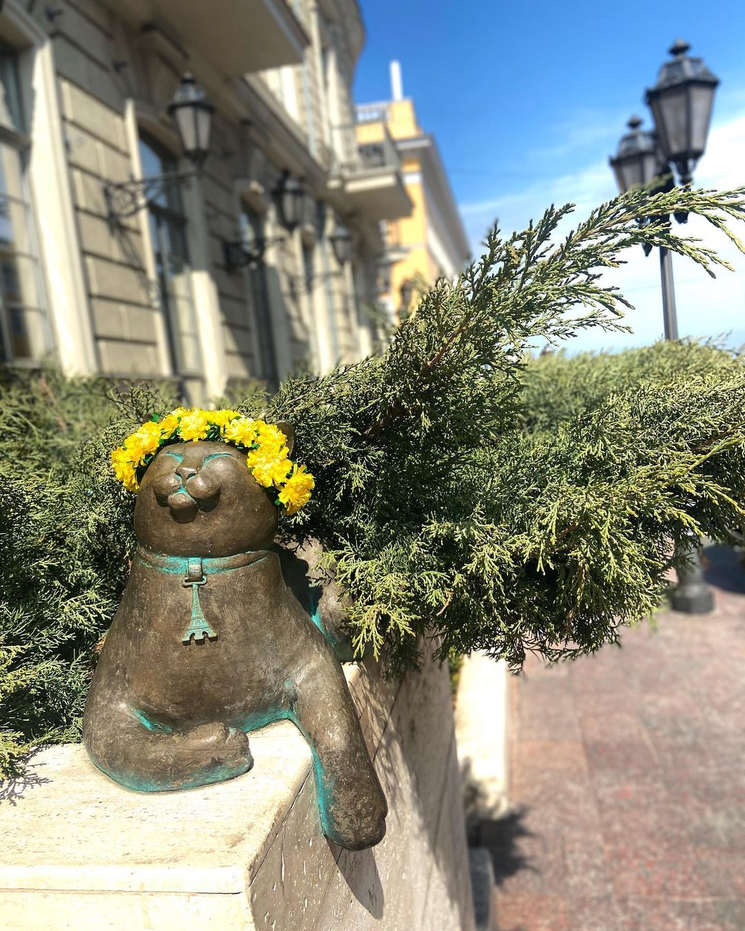 Полюбуйся долгожданной весной: в Одессе начали цвести деревья. Фото: instagram.com/olli__tripdream