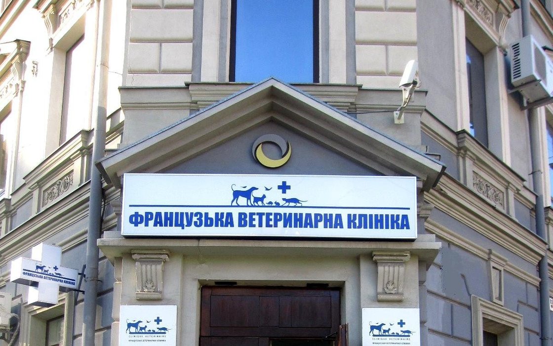 Французская ветеринарная клиника