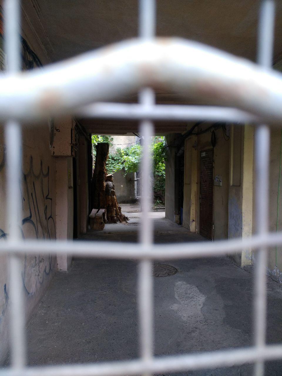 Статую можно разглядеть сквозь решетку