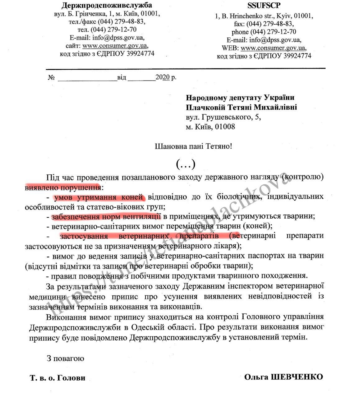 Фото: телеграм-канал Татьяны Плачковой