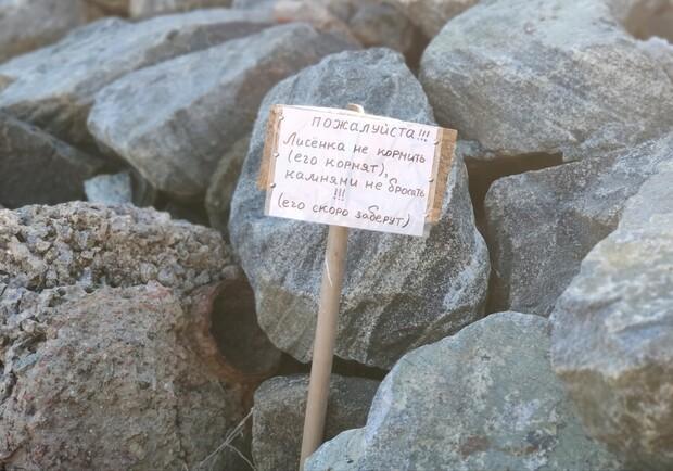 Фото: Одесса без шума и пыли