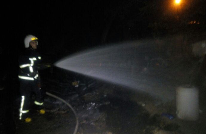 Пожар на Ланжероне. Фото: ГСЧС в Одесской области