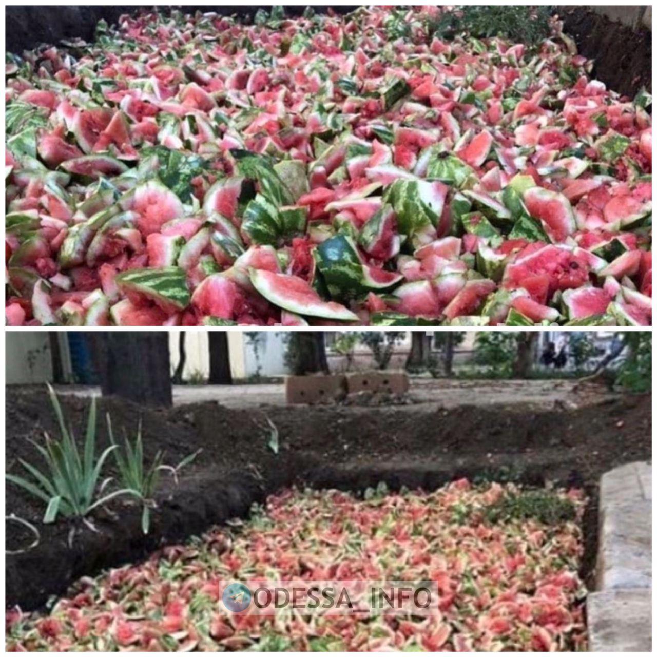 Фото: телеграм-канал Одесса INFO