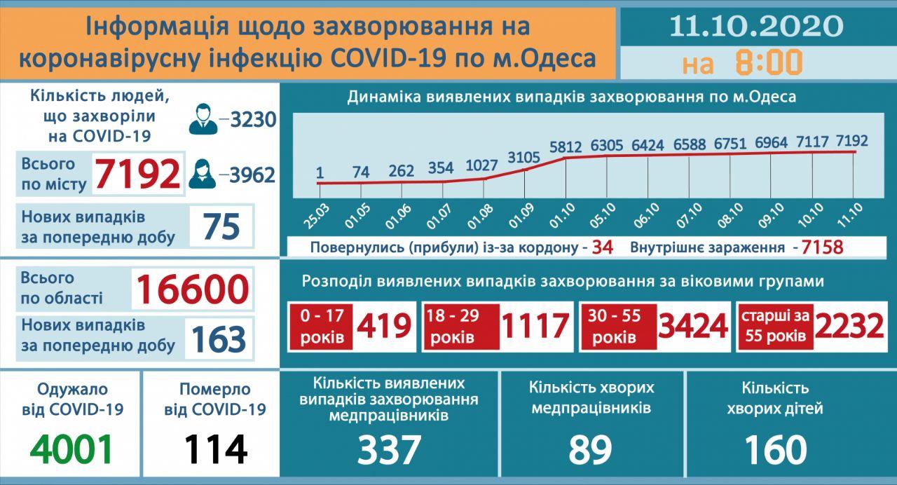Инфографика: горсовет