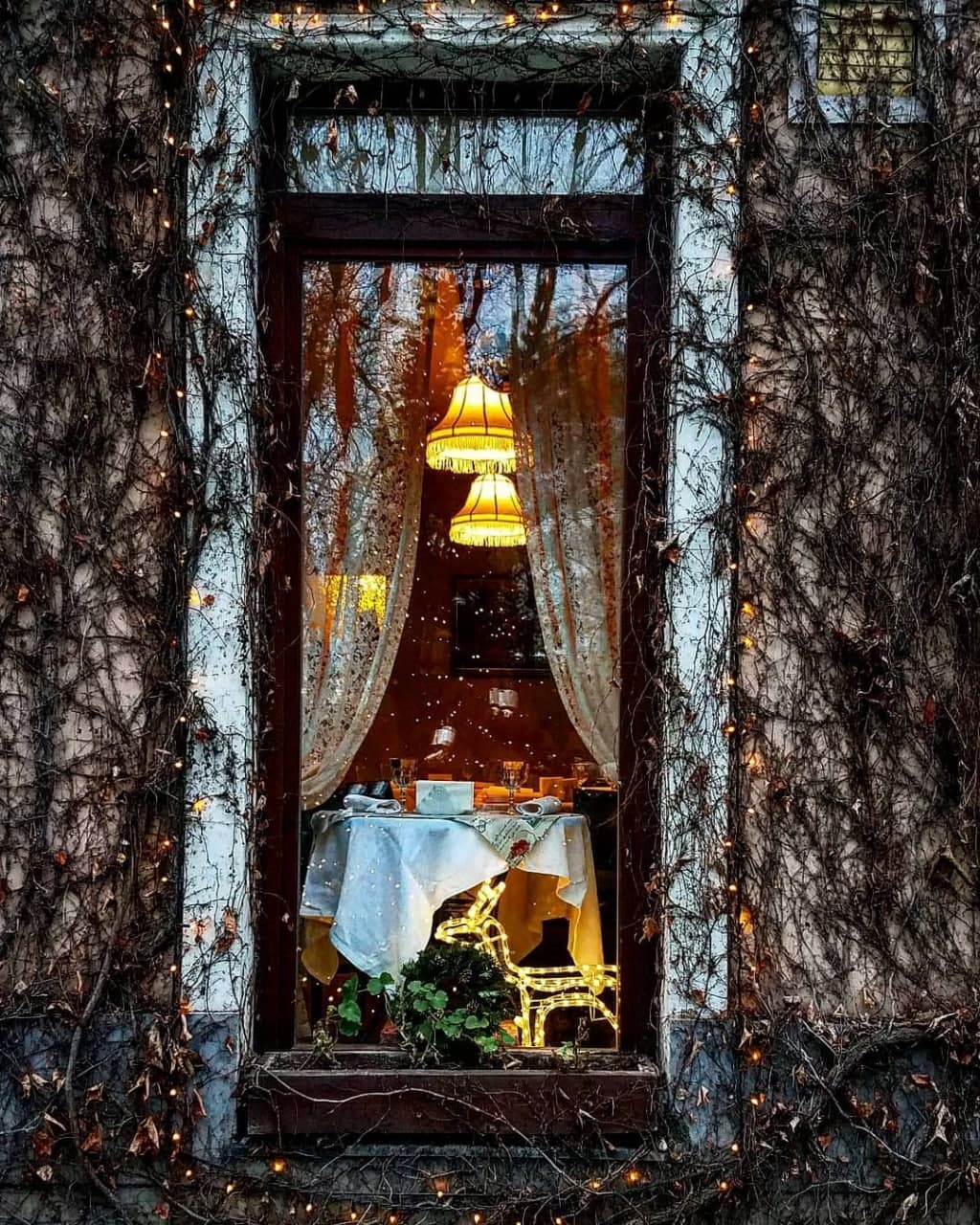 Возьми четвероногих друзей с собой: 10 pet-friendly заведений в Одессе. "КлараБара"