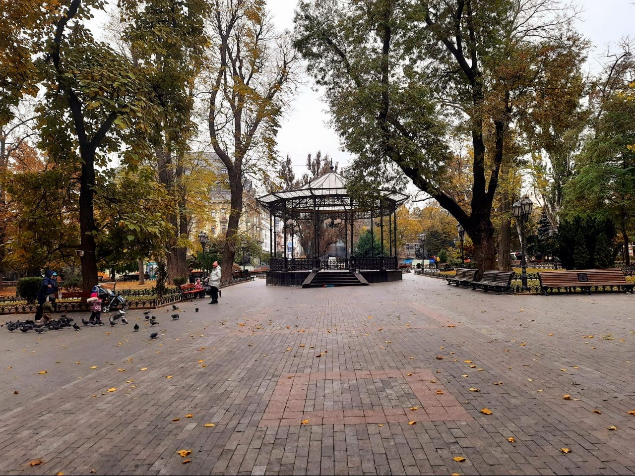 Осень в городском саду Одессы: фоторепортаж с самых красивых мест города. Фото автора