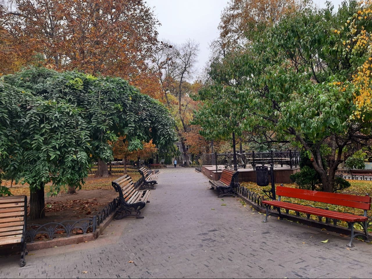 Осень в городском саду Одессы: фоторепортаж с самых красивых мест города. Фото автора