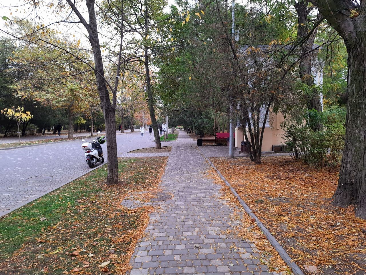 Осень в парке Шевченко в Одессе: фоторепортаж с самых красивых мест города. Фото автора