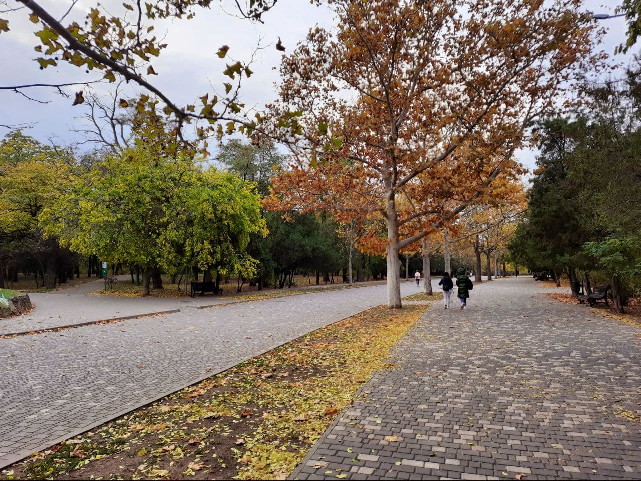 Осень в парке Шевченко в Одессе: фоторепортаж с самых красивых мест города. Фото автора