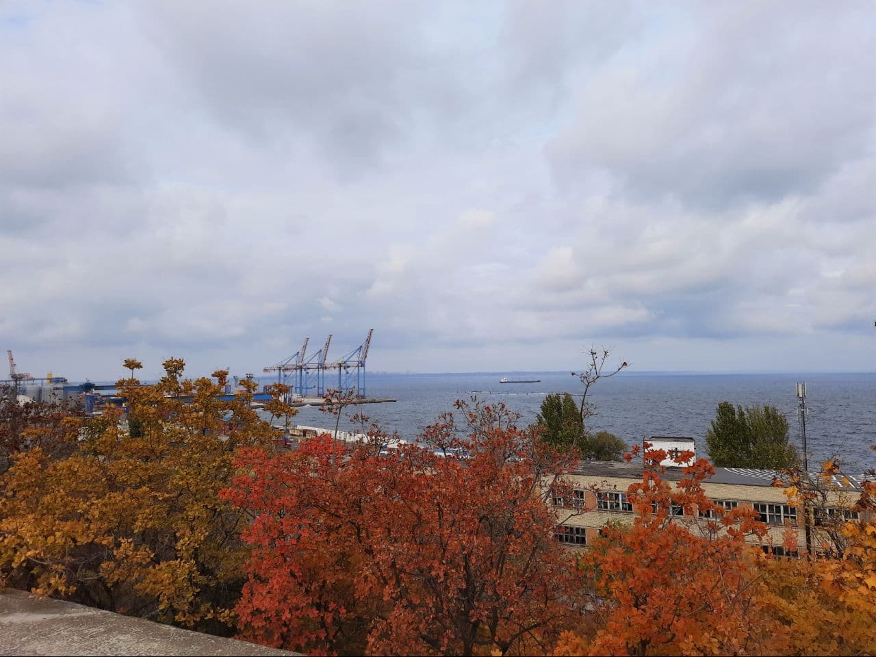 Осень в парке Шевченко в Одессе: фоторепортаж с самых красивых мест города. Фото автора