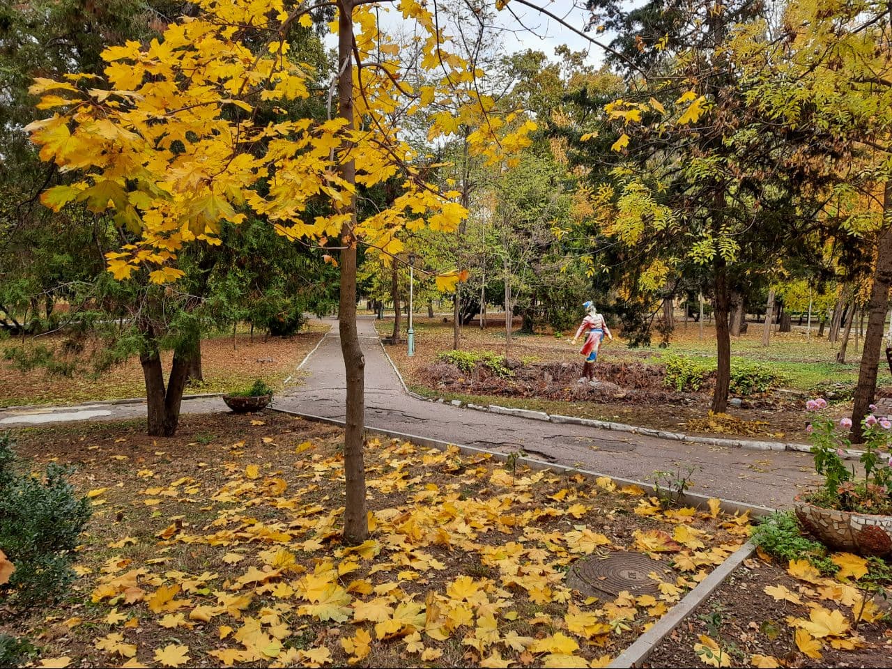 Осень в санатории "Аркадия": фоторепортаж с самых красивых мест города. Фото автора