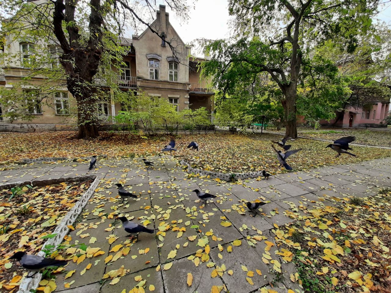 Осень в санатории "Аркадия": фоторепортаж с самых красивых мест города. Фото автора