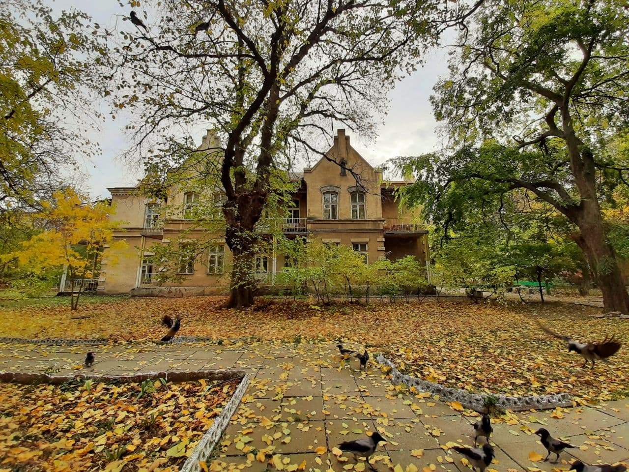 Осень в санатории "Аркадия": фоторепортаж с самых красивых мест города. Фото автора