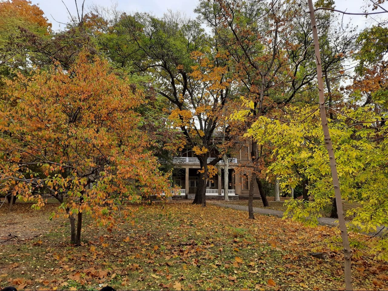 Осень в санатории "Аркадия": фоторепортаж с самых красивых мест города. Фото автора