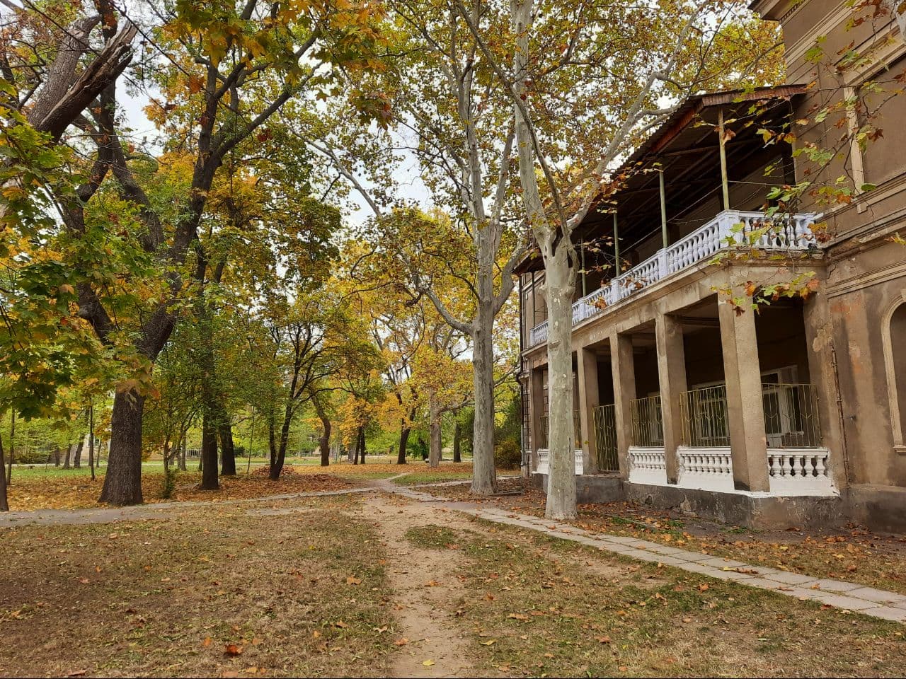 Осень в санатории "Аркадия": фоторепортаж с самых красивых мест города. Фото автора
