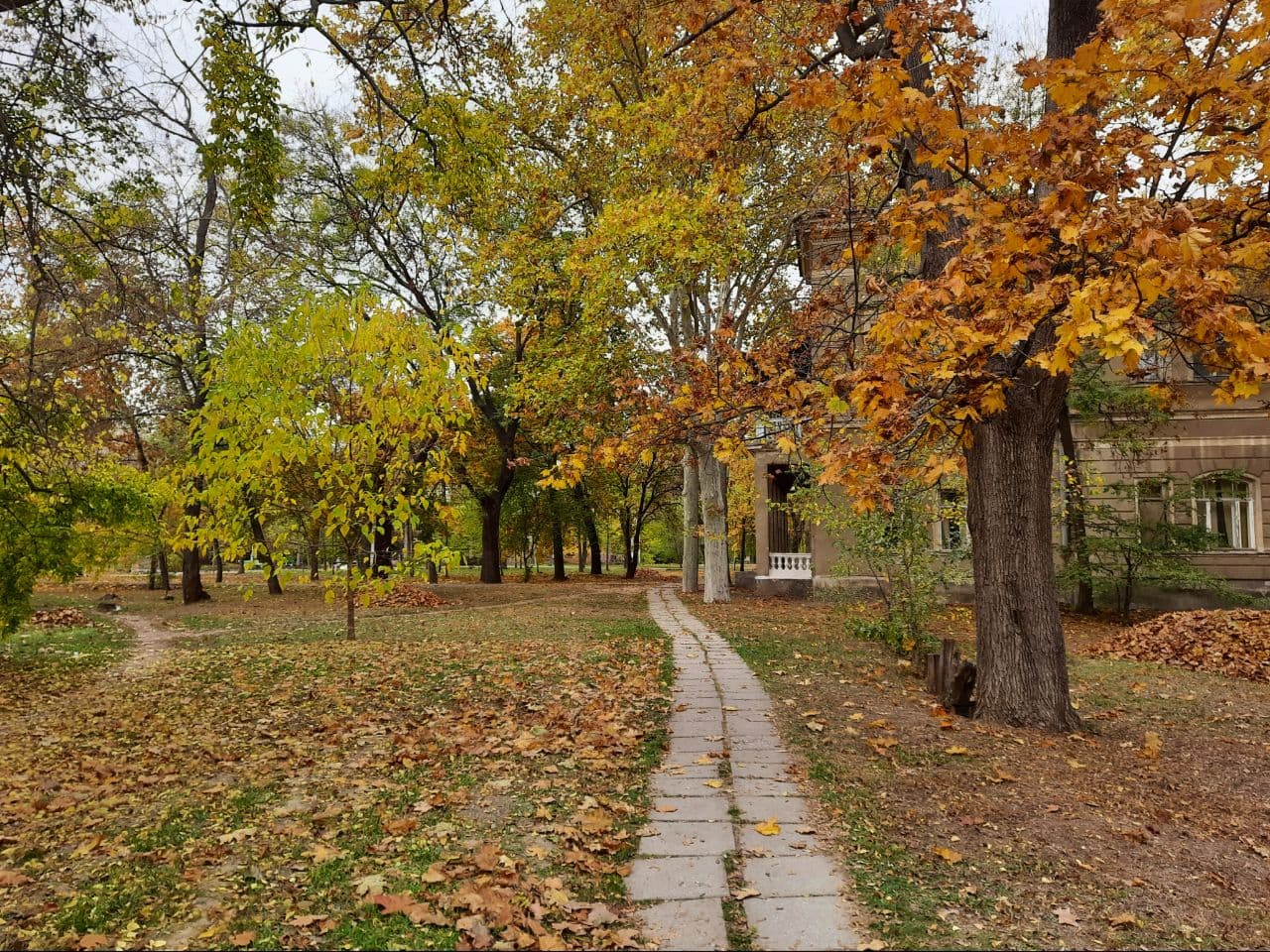 Осень в санатории "Аркадия": фоторепортаж с самых красивых мест города. Фото автора