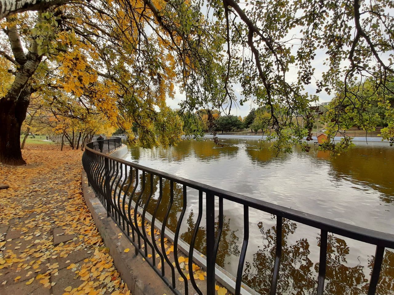 Осень в парке Победы Одессы: фоторепортаж с самых красивых мест города. Фото автора