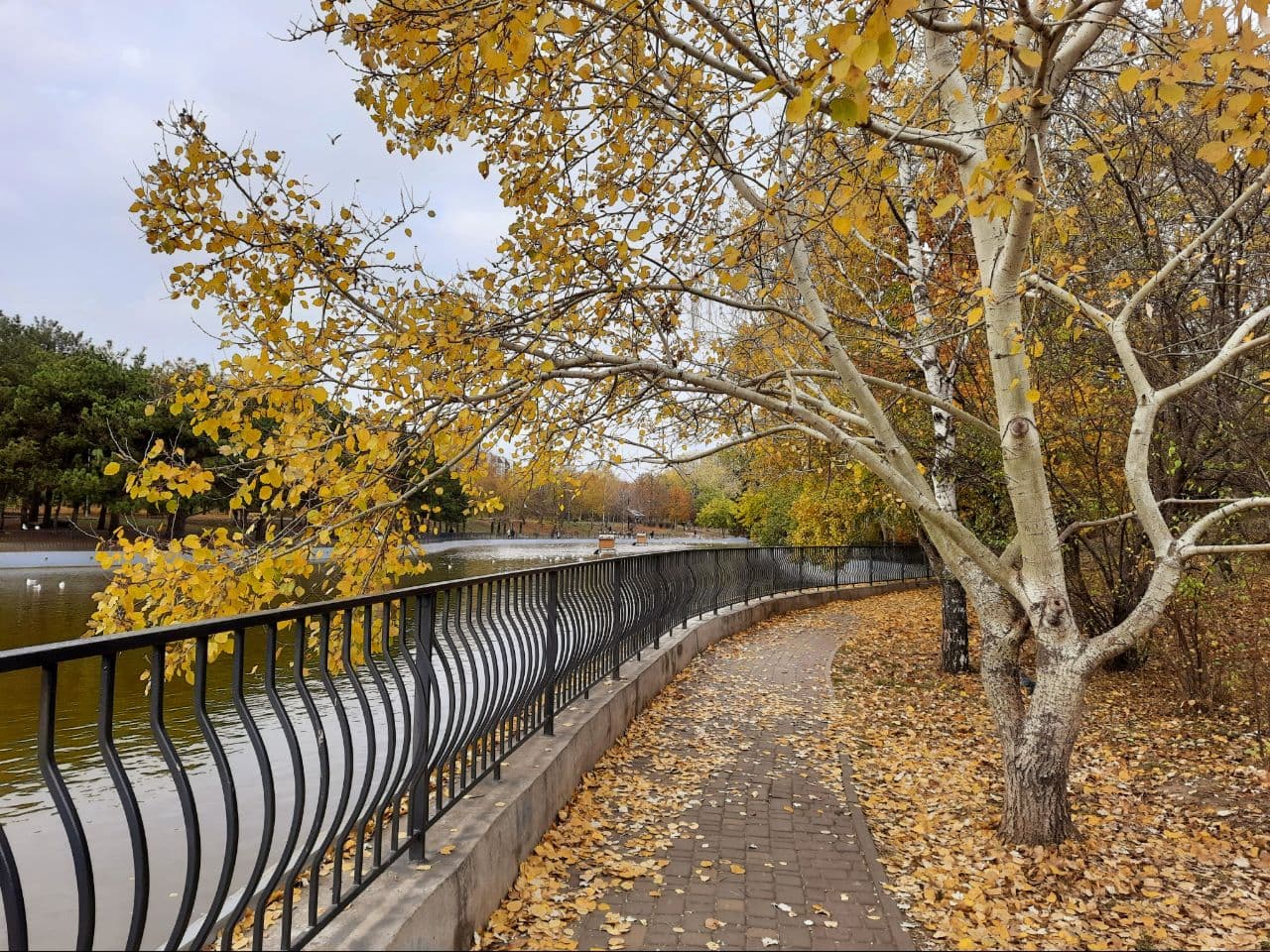 Осень в парке Победы Одессы: фоторепортаж с самых красивых мест города. Фото автора