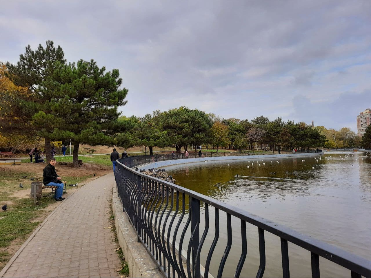 Осень в парке Победы Одессы: фоторепортаж с самых красивых мест города. Фото автора