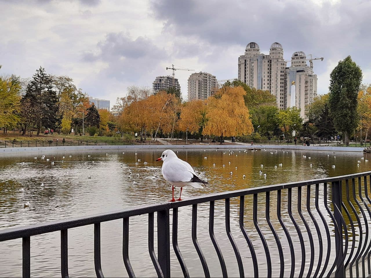 Осень в парке Победы Одессы: фоторепортаж с самых красивых мест города. Фото автора