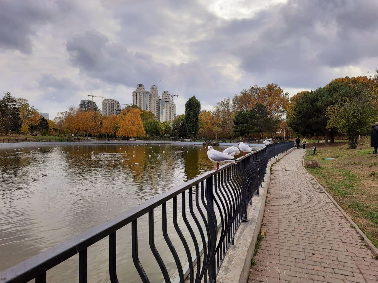 Осень в парке Победы Одессы: фоторепортаж с самых красивых мест города. Фото автора