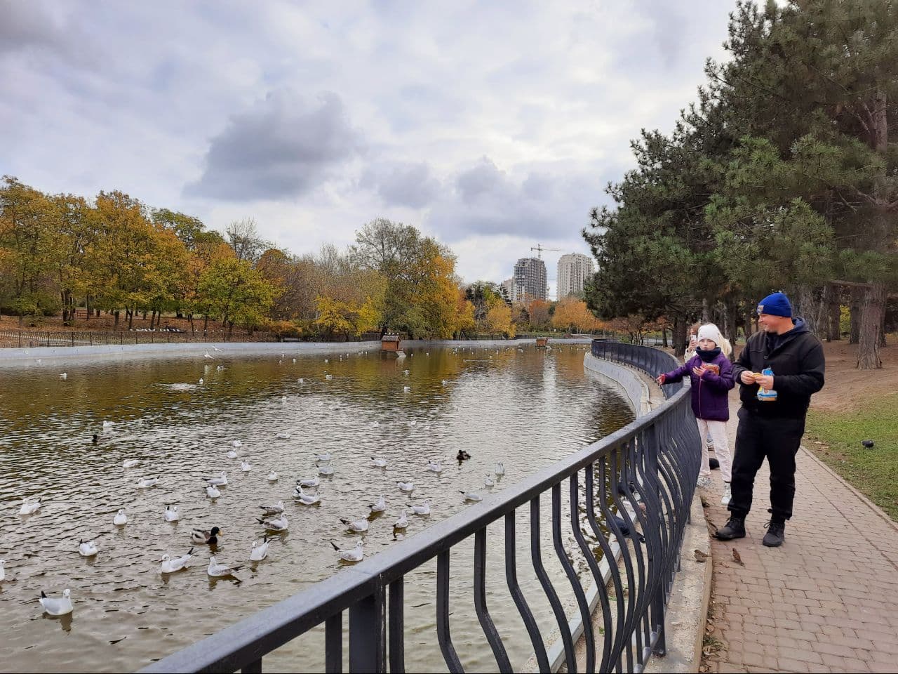 Осень в парке Победы Одессы: фоторепортаж с самых красивых мест города. Фото автора