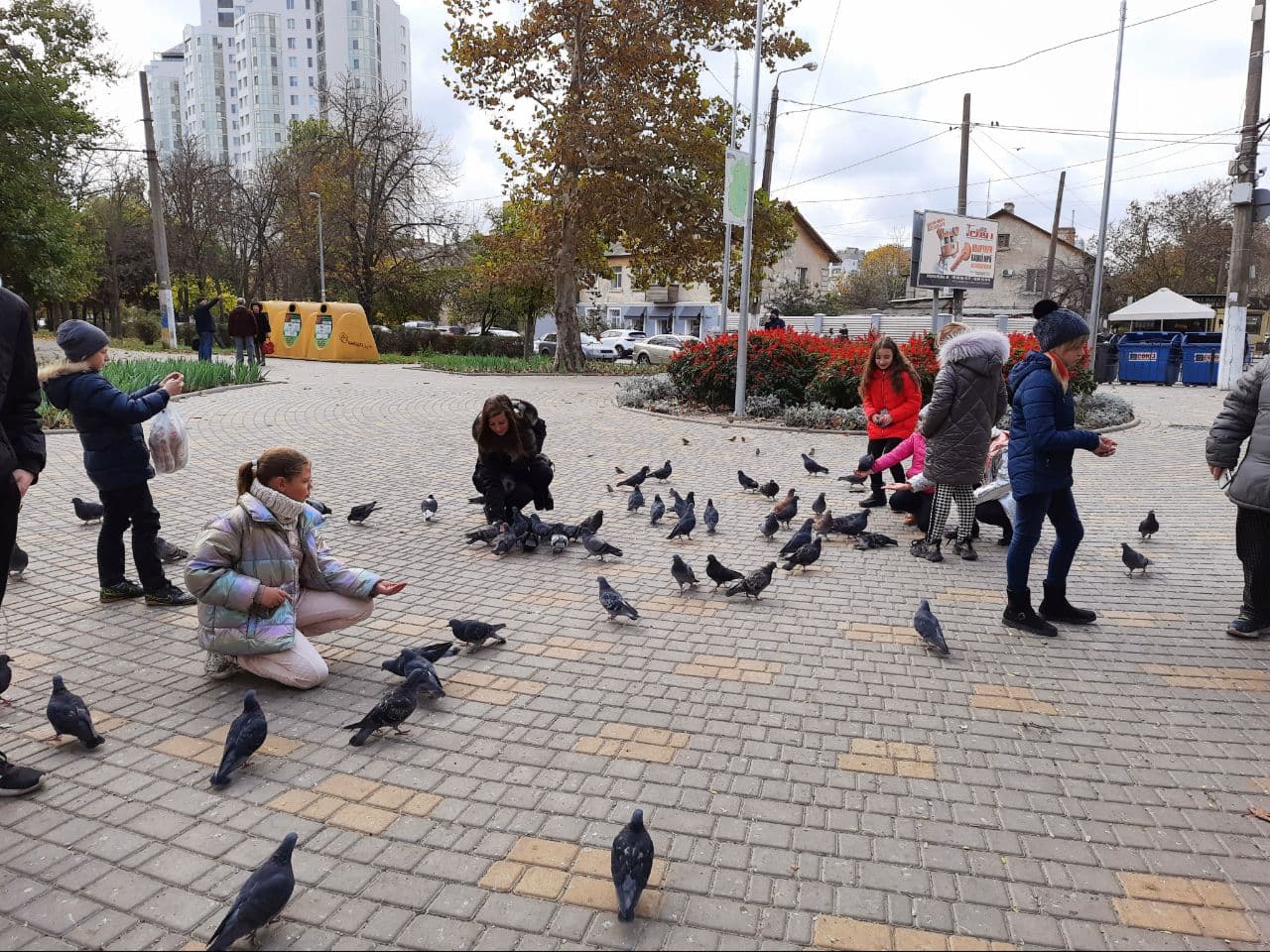Осень в парке Победы Одессы: фоторепортаж с самых красивых мест города. Фото автора