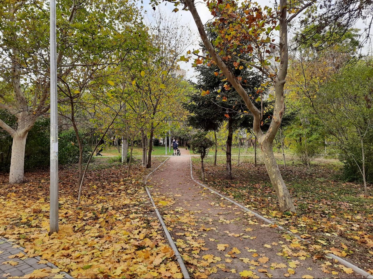 Осень в парке Победы Одессы: фоторепортаж с самых красивых мест города. Фото автора