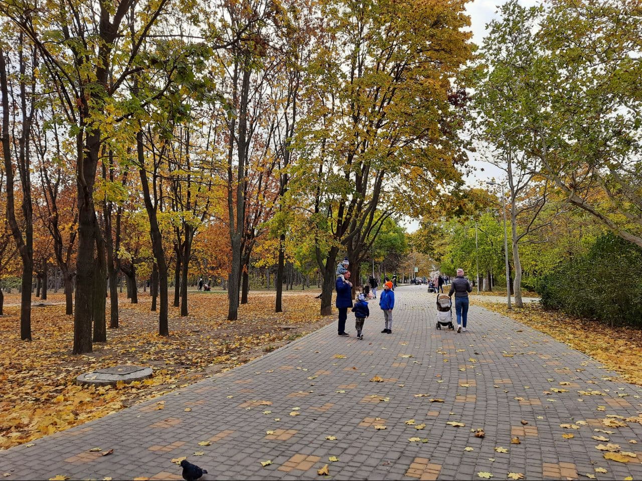 Осень в парке Победы Одессы: фоторепортаж с самых красивых мест города. Фото автора