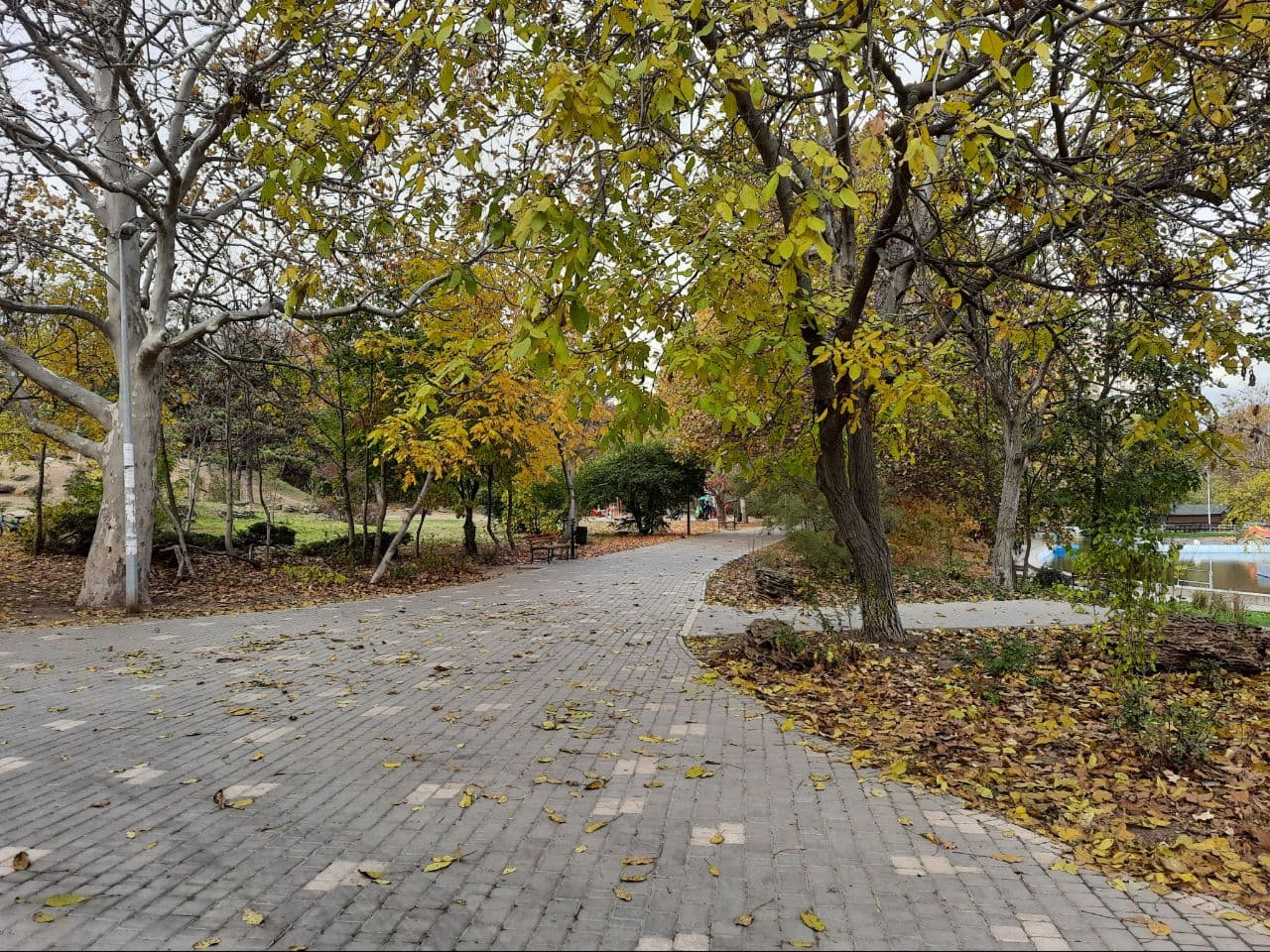 Осень в парке Победы Одессы: фоторепортаж с самых красивых мест города. Фото автора