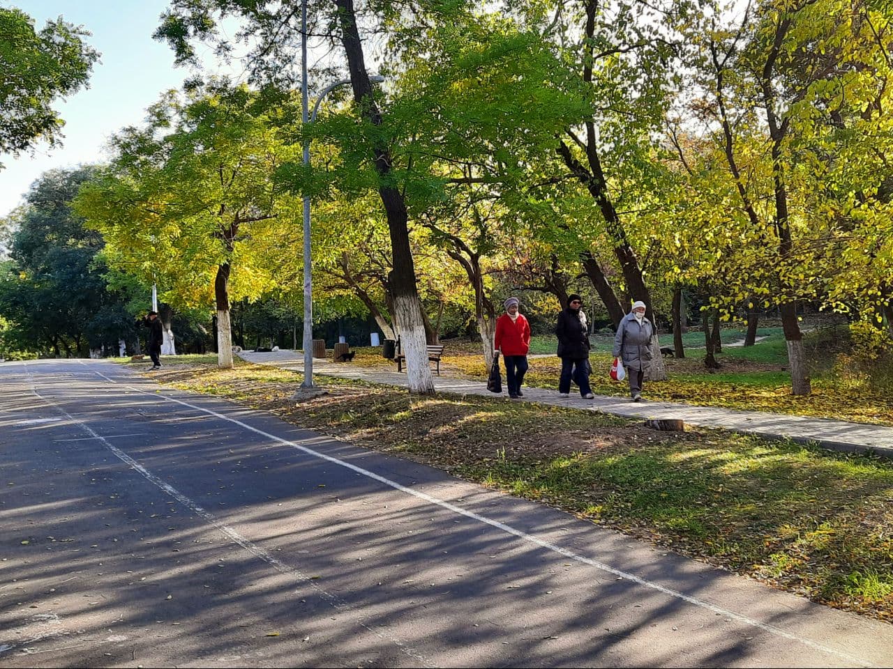 Осень на Трассе Здоровья в Одессе: фоторепортаж с самых красивых мест города. Фото автора