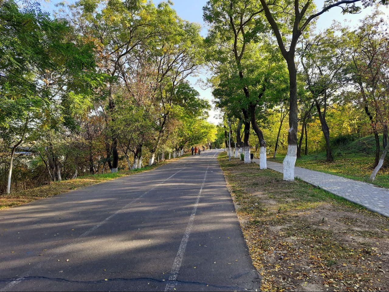 Осень на Трассе Здоровья в Одессе: фоторепортаж с самых красивых мест города. Фото автора